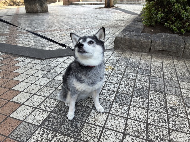 707E0DDC-7DB0-446C-896D-CD966EFA25EB_1_105_c