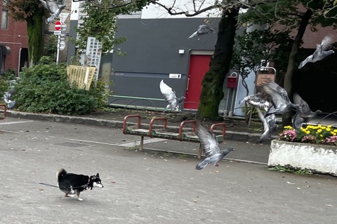 3CA45BB6-7D18-409B-A07C-DE05E54FC0A1_1_105_c