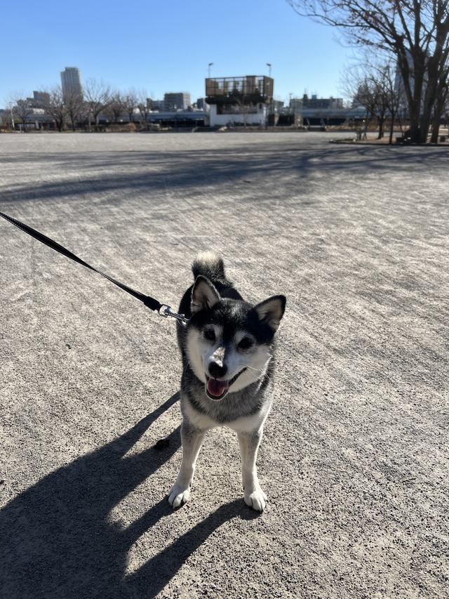 F8C21A20-76F9-48F3-ADB0-4FA1F4A087C2_1_105_c