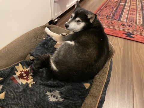 弥生つごもりのヒレカツ三昧