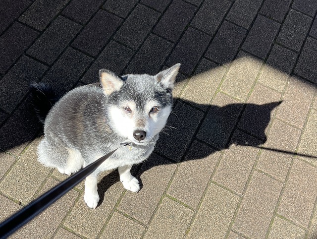 27B9964F-37AD-4B31-B014-A9F010E1C99B_1_201_a