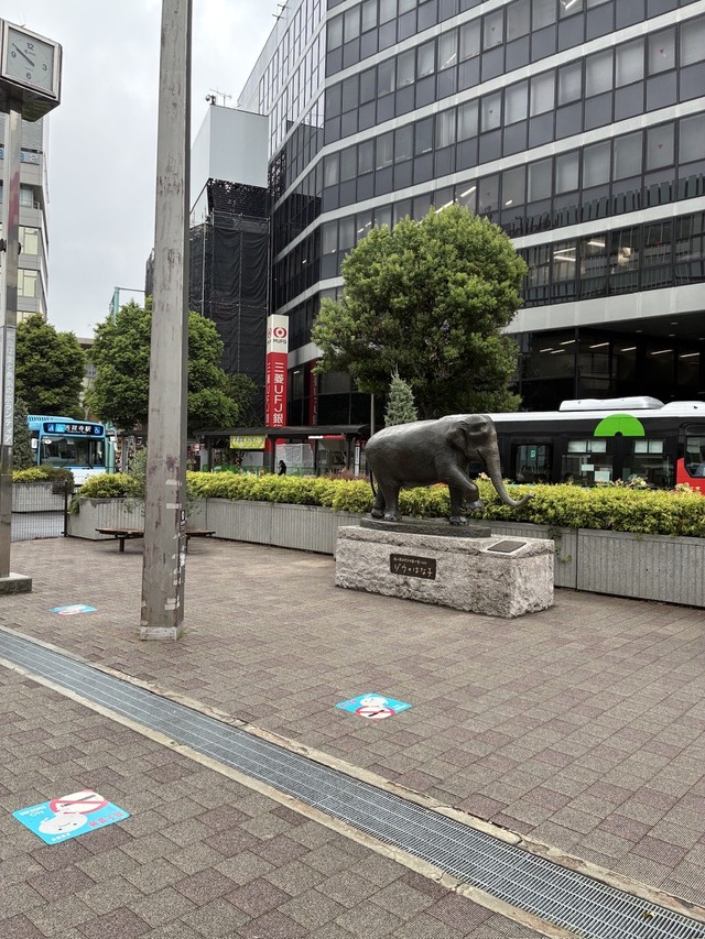 D3C48CA9-61DC-4DAB-9AEA-536F0394C9F7_1_105_c