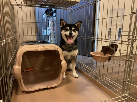 つけ麺ランチとパブリック図書館の奇跡と惣菜の宴