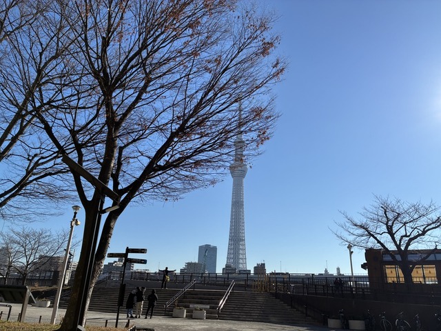 8627E803-3DE7-4CB6-8047-B0F9C61CDAE5_1_105_c