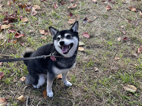 12B04B41-9BCD-457C-8BAB-697E847E3CAD_1_105_c