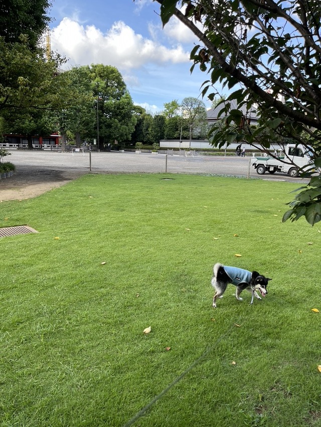 AD9A58B4-1354-4313-B0BF-8F98B40D2ECE_1_105_c