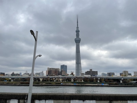 C9537342-D32B-4F90-AD76-B2AB2A73B6B5_1_105_c