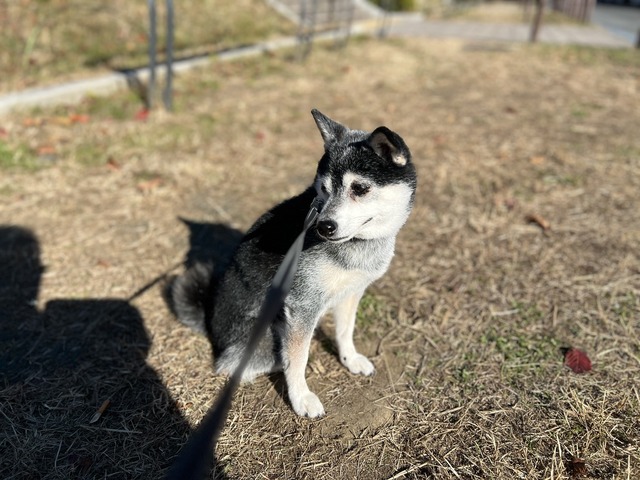 F7D45266-234B-43FD-95C6-592DEB8462E5_1_105_c