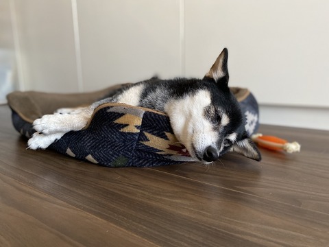 CC64CA72-0A66-47B7-BF29-22A9229594E5_1_105_c