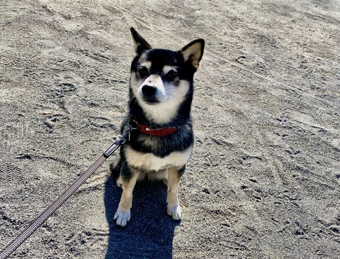 75A55E4E-0DCF-40AC-9BC1-259DCA9EF013