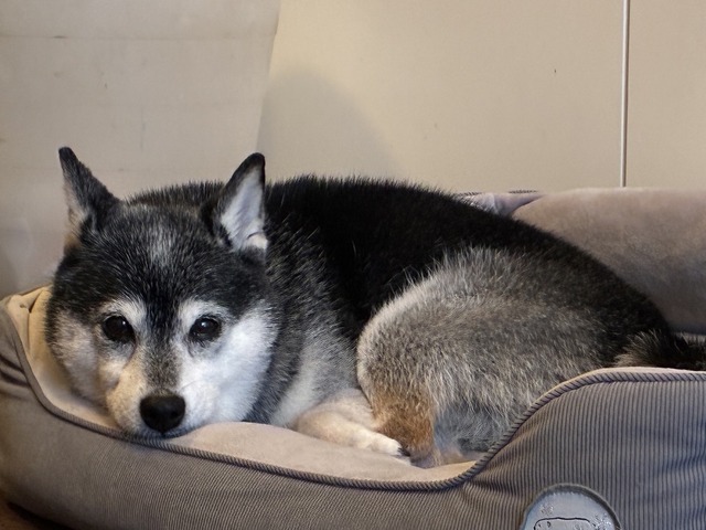 FA483F3E-593C-4DC9-B448-8CB2A27FADA2_1_105_c