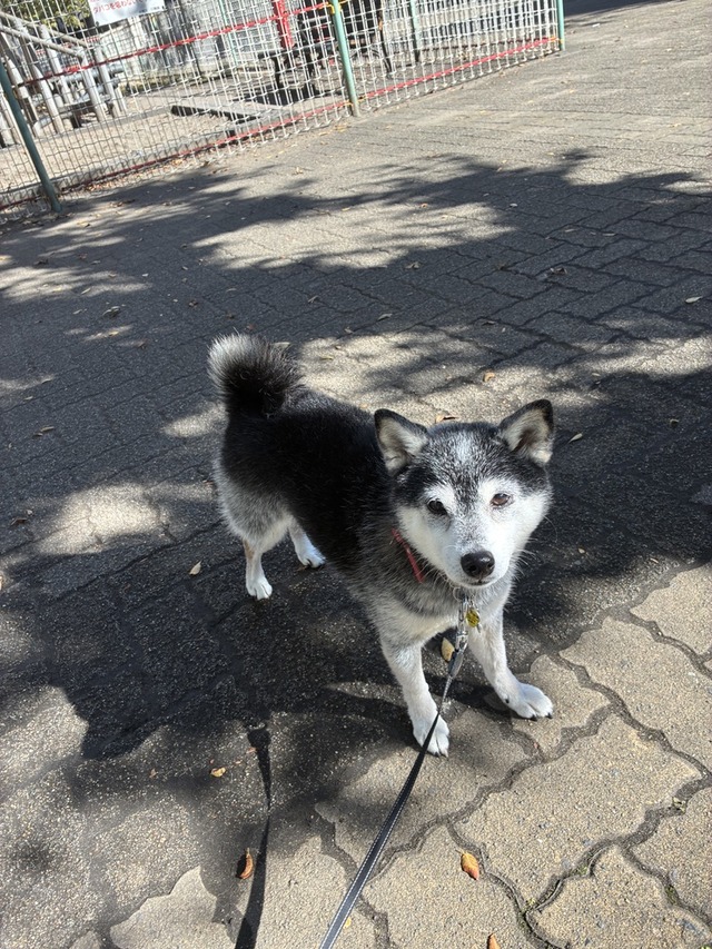 4C237C71-7DBA-409C-A872-C0FB8F219DBD_1_105_c