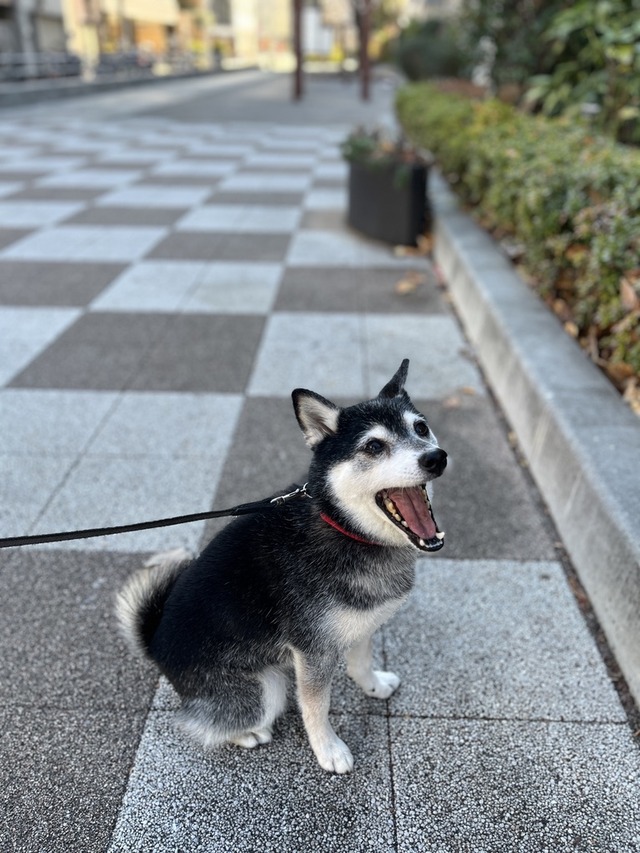 EEBE3802-9253-42EC-B47D-0FA1E9D5839B_1_105_c