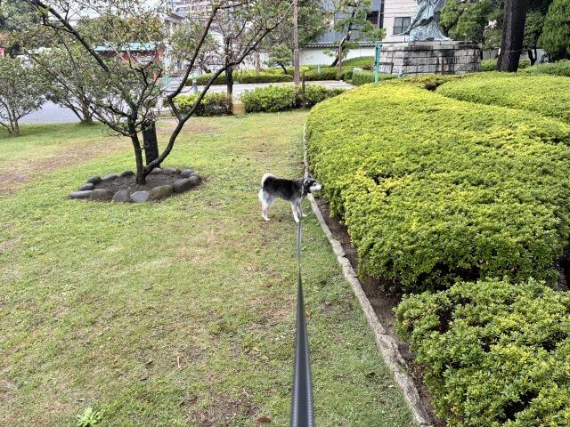 133813DF-106A-486E-9007-FF2F81B73222