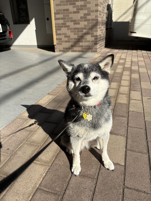 009762F2-494C-483F-ADE0-6AEF98E92CBC_1_105_c