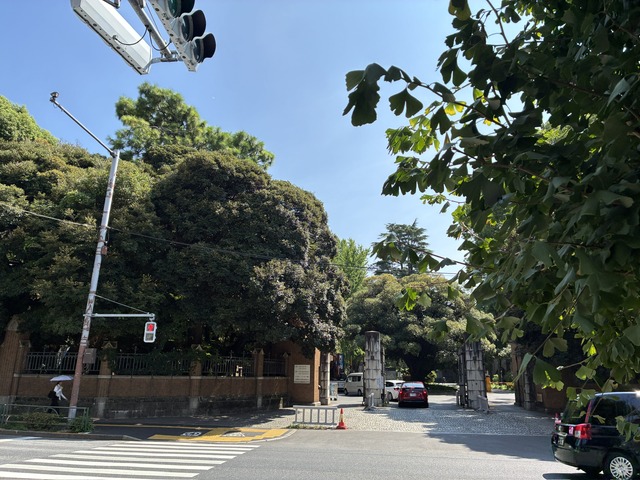 BBAE32EA-1C2F-4E06-840E-ADDE8C2A19CC_1_102_o