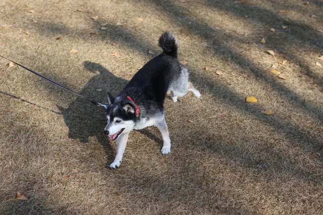 D012A2DB-1C6F-45CE-9AC1-467310308ADF_1_105_c