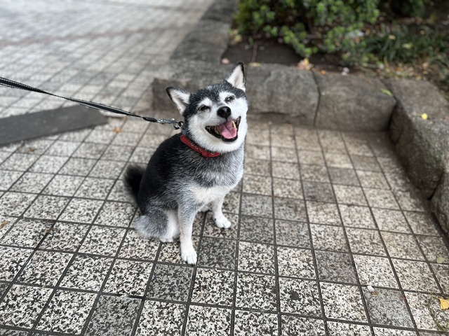 D693B7EF-59DF-4993-A973-E24674FB1A6E_1_105_c