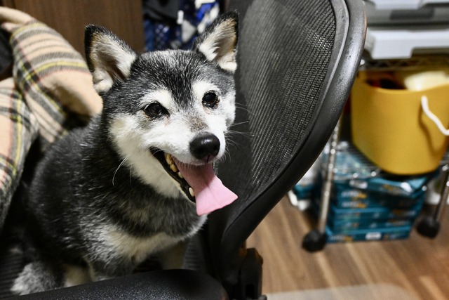 885D249B-BAF4-4589-9D2D-08C717C98FC2_1_201_a