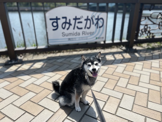 5F051BF6-4D1D-4EB4-8BF7-F0F74FF319BD_1_105_c