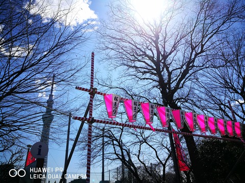 IMG_20170316_113358_1