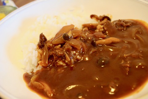 ネコとジーラとハヤシライス