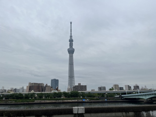 EED5B79C-2396-44B7-BDD8-01C59CA262CD_1_105_c