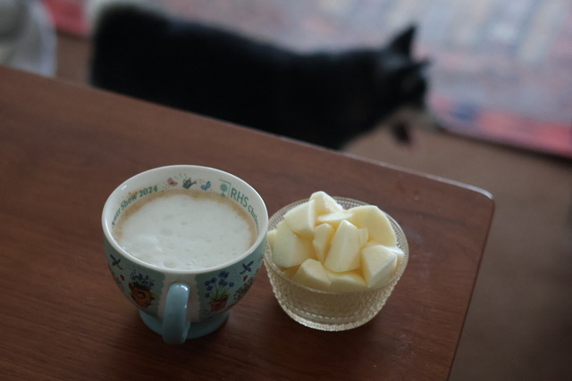 FAEA8C45-056D-4934-878A-348E4584EF57_1_105_c