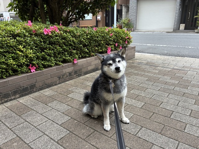 4C809165-CD54-4D48-A219-C86491722987_1_105_c