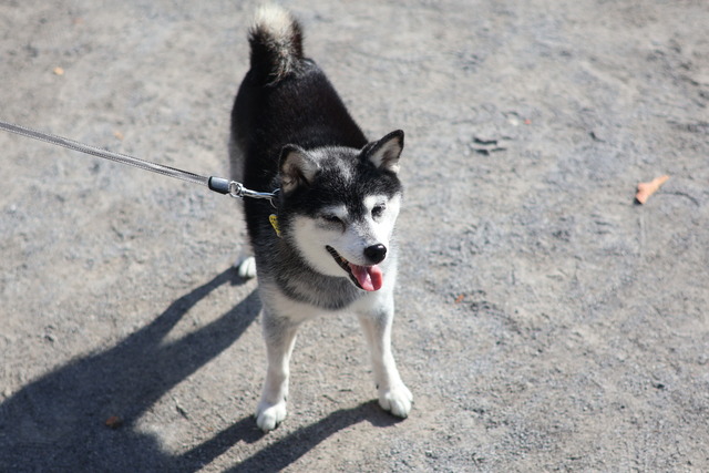 9C44C705-5ECA-4FB6-9B3D-13683C5876CC