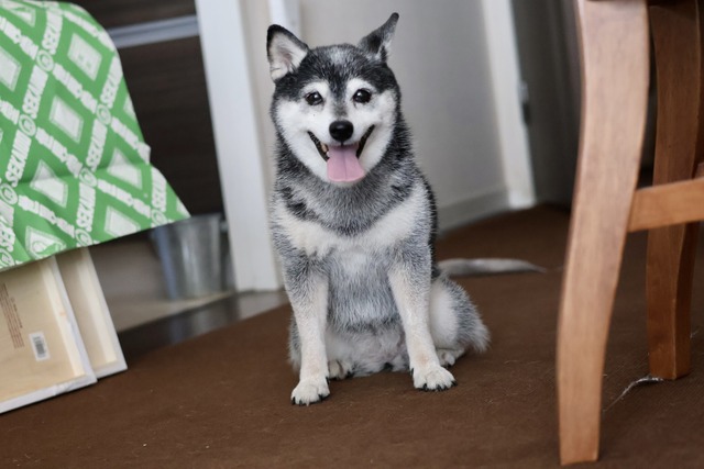 37F67724-C4AA-4F31-9DF3-1B4997BD5F73_1_201_a