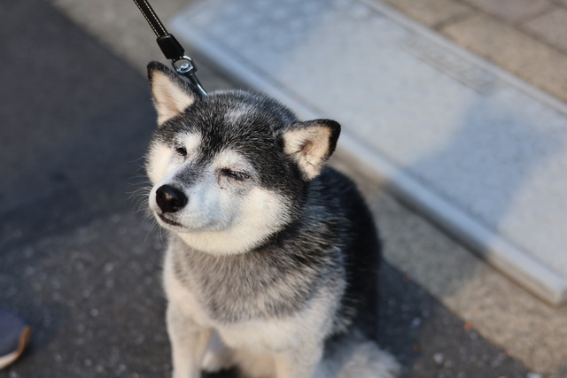 A3C903A5-FDC8-410F-9281-B97FFF1B26FA