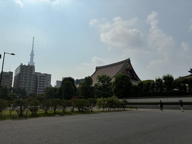 E1C2A537-DFAF-4FDE-81B5-152C0B96B899_1_102_o