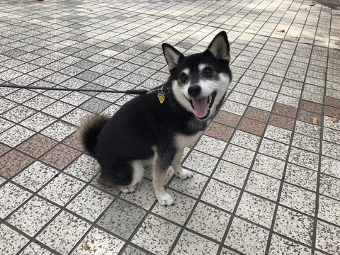 4B0290E7-6B8C-4A87-8BC2-A791CED1BD51