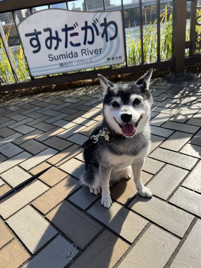 孟冬のカレー三昧②