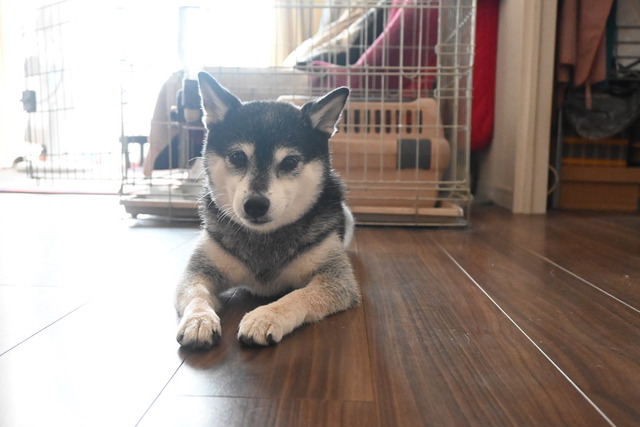 F0965688-EE2D-4745-9A5E-9C37AA37784F_1_105_c