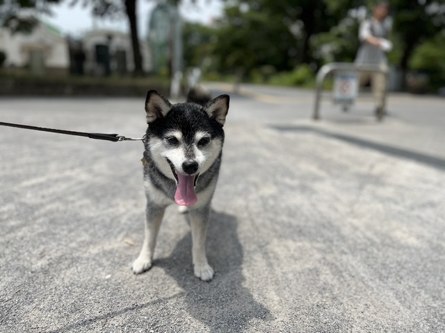 62F4098F-45B9-4C34-BE6B-8589BF2AC7A7_1_105_c