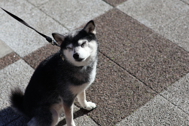 6C10A229-C07F-4908-863C-1B38B731DBBD