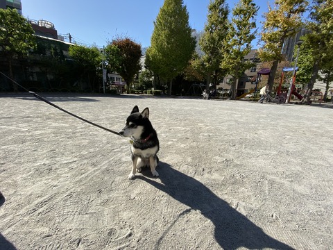 D136EF80-5F32-40E4-BF52-0D3477471FB7