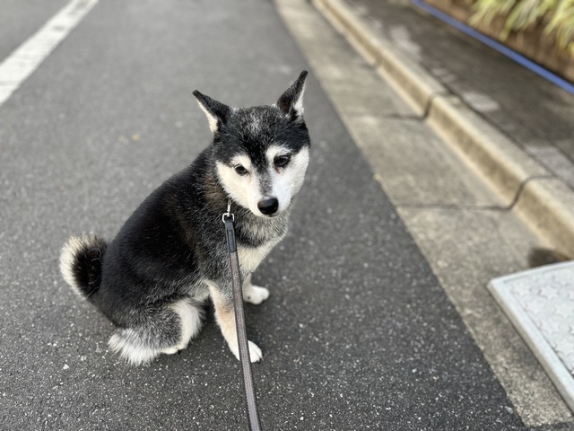 C121A17D-13C5-4673-BCBE-062E0F2728A5_1_105_c