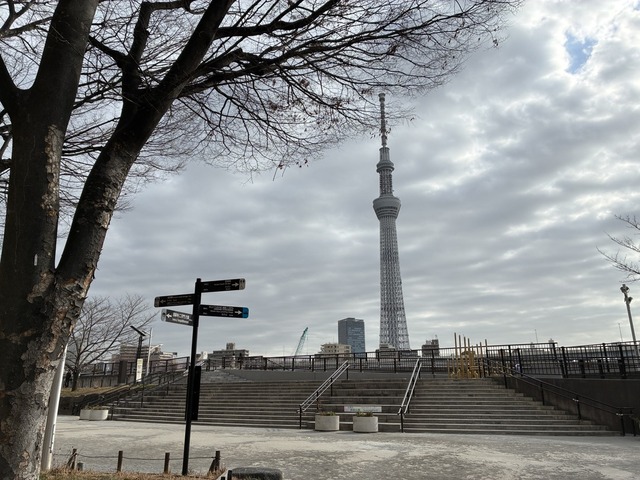 D5CD47F4-4BB5-474E-8909-129D8DDB6681_1_105_c