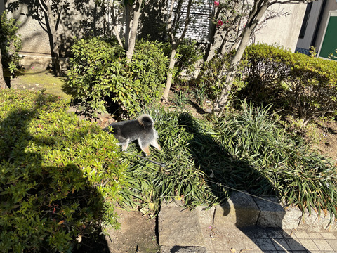 0C32B6ED-703D-4F17-8CF1-7DD69475A56A_1_105_c