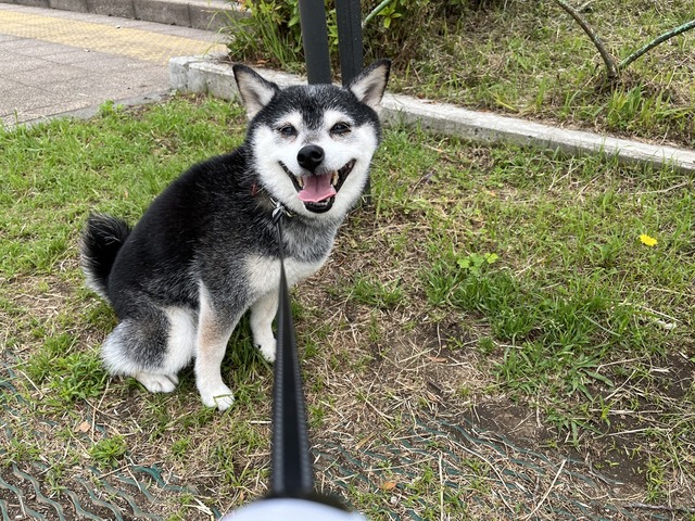 7A14E3F1-33E1-482E-833A-25E69AA8F6DF_1_105_c