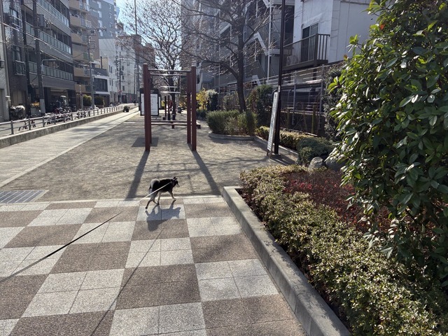 C52A6383-9A4E-4D85-80A9-9E2C144B7E24_1_105_c