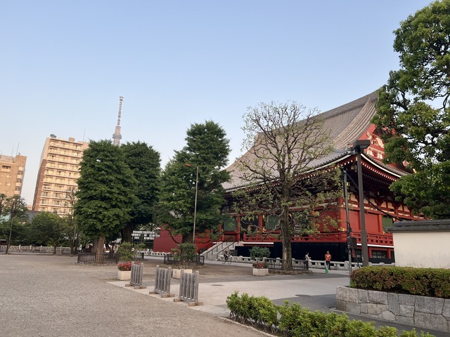 06FF4BEE-456C-40CA-B533-81E1E41DFC95_1_102_o