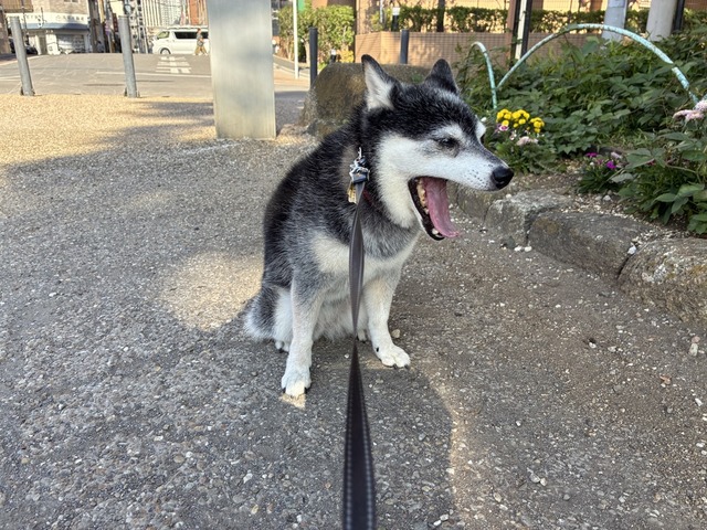 1C5B2173-3B07-4C45-9B8C-C9020A4A068B_1_105_c