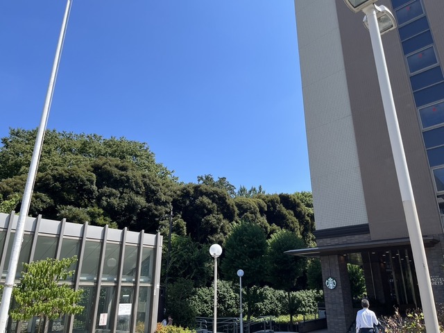 3BCFE5C2-E268-449D-8162-BA46A9424F88_1_105_c