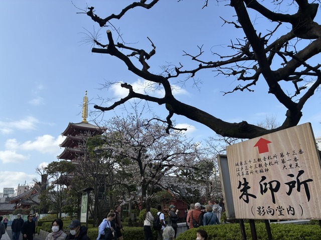 CB297F8F-EE19-4CC3-8E79-3A7427B01C62_1_105_c