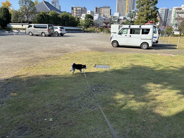 A8E53FA5-FB6F-444F-9936-C269EF2E1DD1_1_105_c