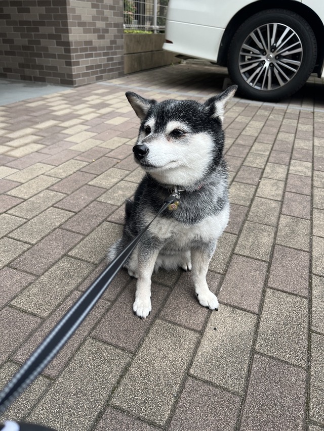 GW初日のたらこパスタとブリ青梗菜